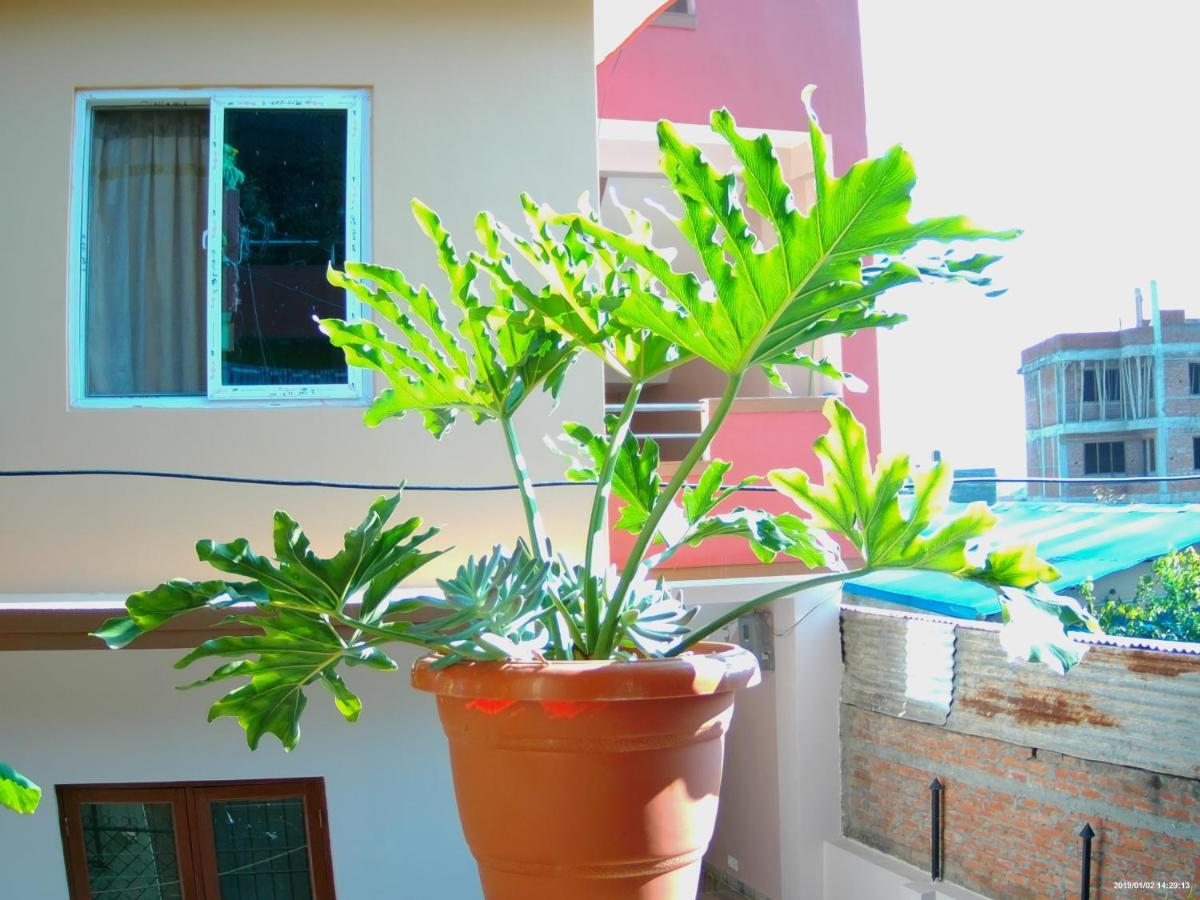 Everest Home Stay Apartment Lalitpur Εξωτερικό φωτογραφία